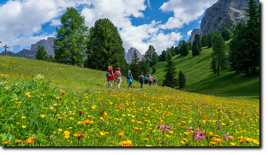 Selva di Val Gardena